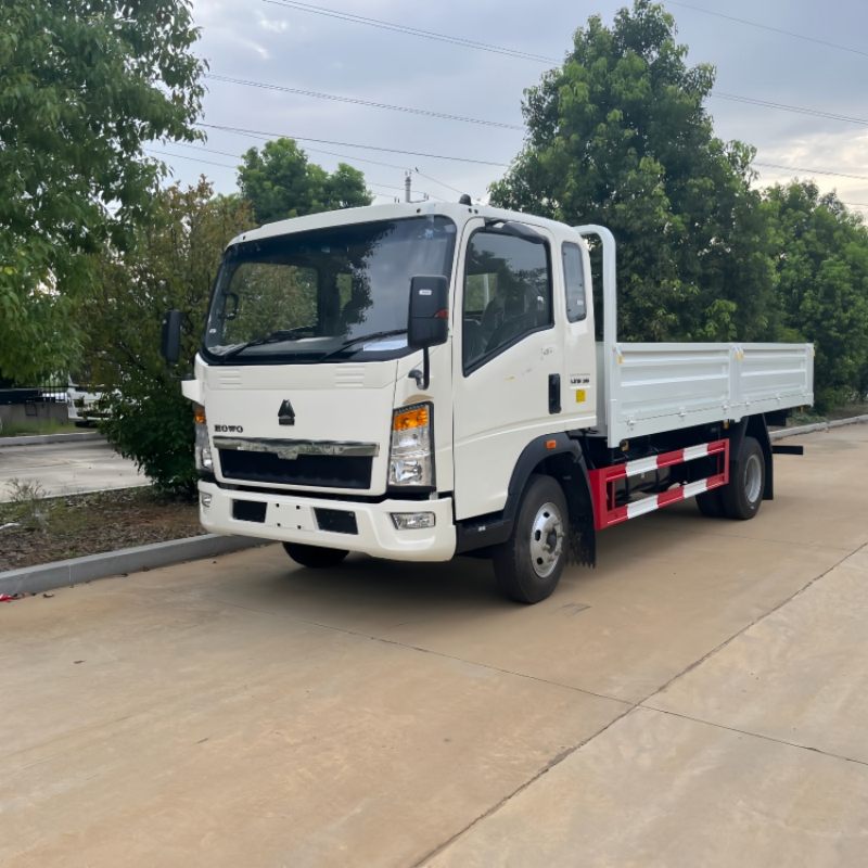 Camion de transport de marchandises HOWO