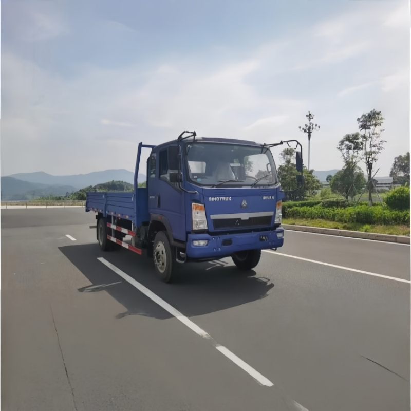 Sinotruk 4x2 freight truck for sale