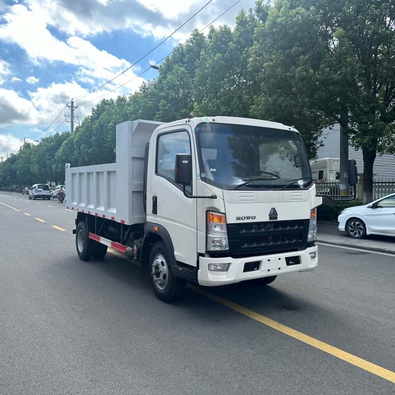 HOWO 4x2 5 Ton Light Duty Dump Truck