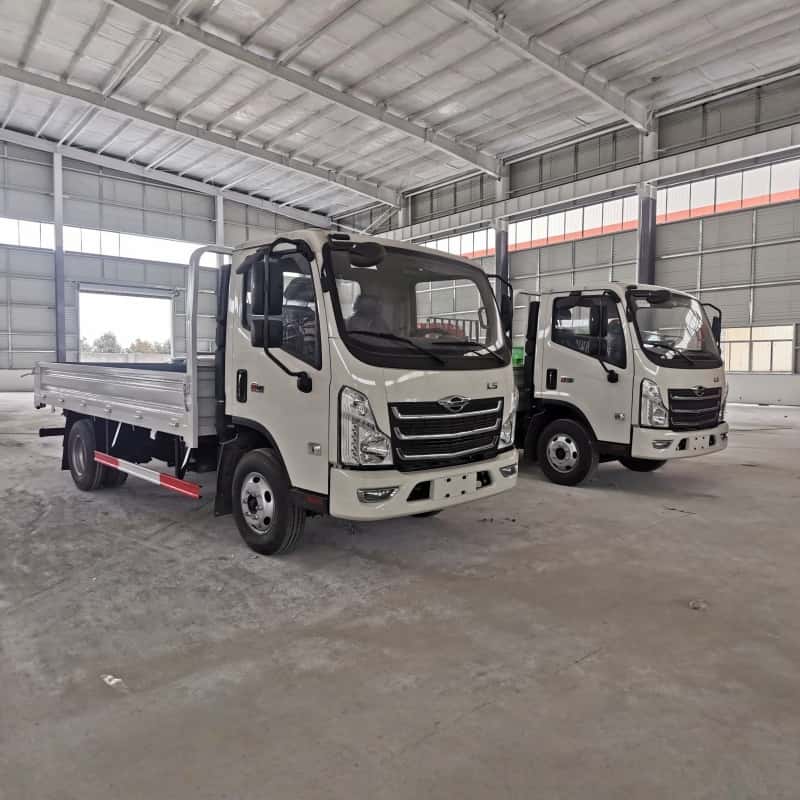 Foton 4x2 5 Ton Light Duty Dropside Dump Truck