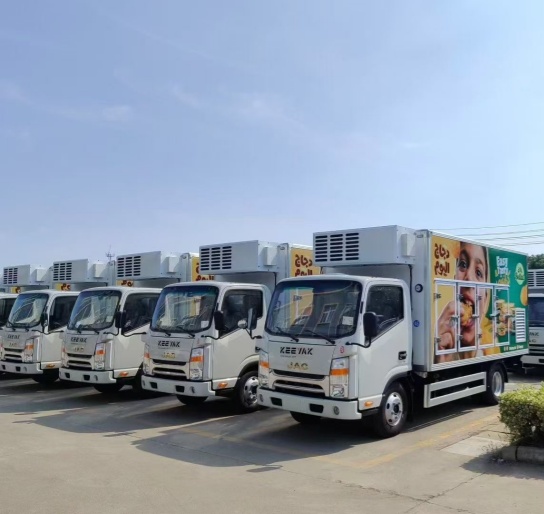 Camions frigorifiques pour crèmes glacées -40 °C | 50 unités prêtes à l'exportation